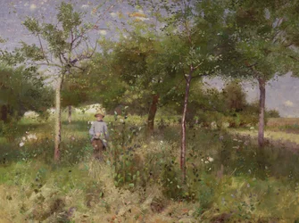 The High Grasses